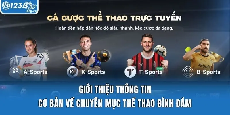 Giới thiệu thông tin cơ bản về chuyên mục thể thao đình đám