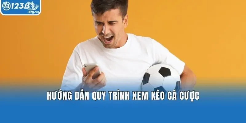 Hướng dẫn quy trình xem kèo cá cược